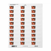 Sunset Hues Tulips Return Address Label (Full Sheet)