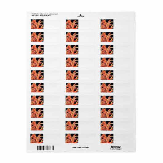 Sunset Hues Tulips Return Address Label (Full Sheet)