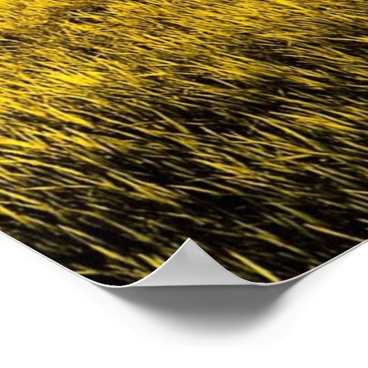 Sunset in a Rural Field Landscape Poster (Hoek)