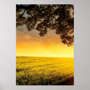 Sunset in a Rural Field Landscape Poster