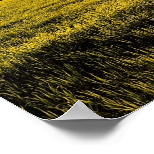 Sunset in a Rural Field Landscape Poster (Hoek)