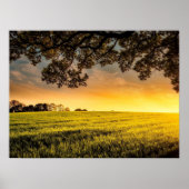 Sunset in a Rural Field Landscape Poster (Voorkant)