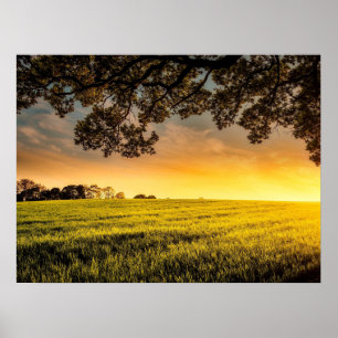 Sunset in a Rural Field Landscape Poster