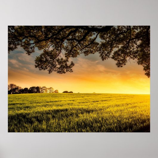 Sunset in a Rural Field Landscape Poster (Voorkant)