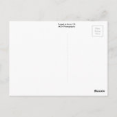 Sunset in Anza, CA-Briefkaart Briefkaart (Achterkant)