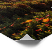 Sunset in Cabo de Roca Poster (Hoek)