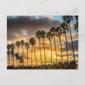 Sunset in Californië met Palm Trees Briefkaart (Voorkant)