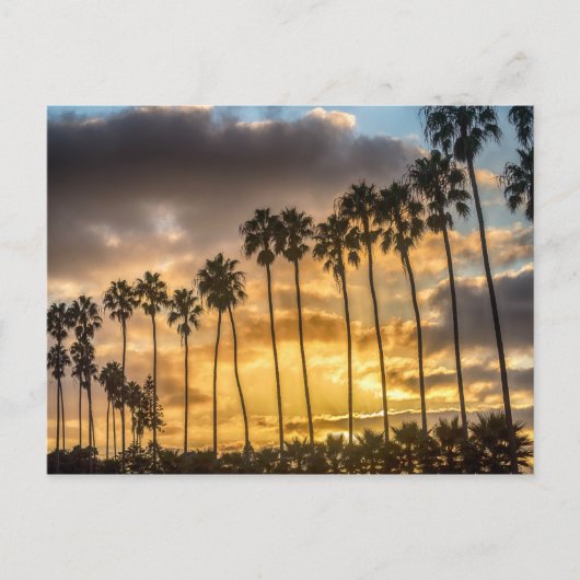 Sunset in Californië met Palm Trees Briefkaart (Voorkant)