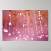 Sunset in Crystal Print (Voorkant)