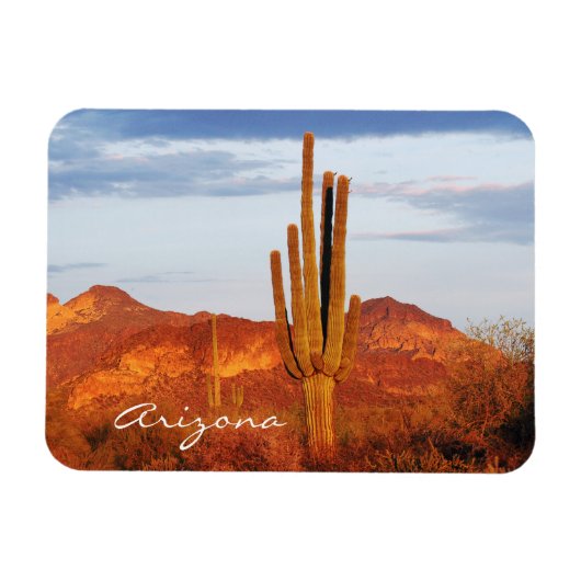Sunset in East Valley Arizona Magneet (Horizontaal)