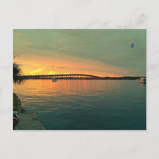 Sunset in Florida Briefkaart (Voorkant)