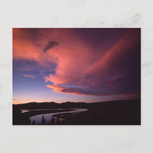 Sunset in Hayden Valley Briefkaart (Voorkant)