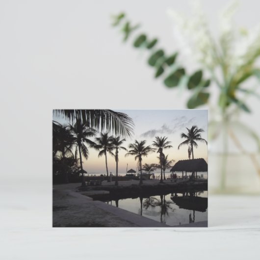 Sunset in het Briefkaart Keys (Staand voorkant)
