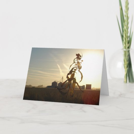 Sunset in Morning Sun, Iowa Kaart (Voorkant)