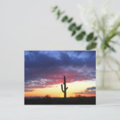 Sunset in phoenix Arizona Briefkaart (Staand voorkant)