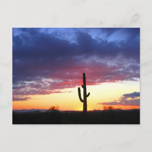 Sunset in phoenix Arizona Briefkaart (Voorkant)