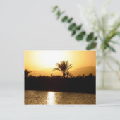 Sunset in Sharm el Sheikh, Egypte Briefkaart (Staand voorkant)