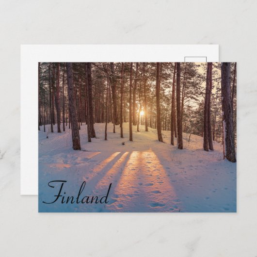 Sunset in sneeuwwinterdenboksdoek briefkaart (Voorkant / Achterkant)