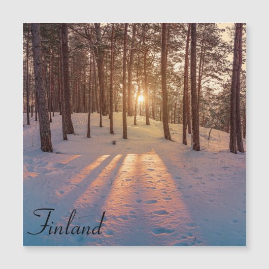 Sunset in sneeuwwinterdenbos (Voorkant)