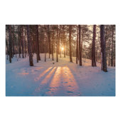 Sunset in sneeuwwinterdenbos foto afdruk (Voorkant)