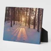 Sunset in sneeuwwinterdenbos fotoplaat (Zijkant)
