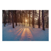 Sunset in sneeuwwinterdenbos perfect poster (Voorkant)
