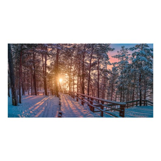Sunset in snowy-dennenbos met zonnestraal foto afdruk (Voorkant)