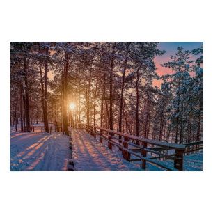 Sunset in snowy-dennenbos met zonnestraal perfect poster
