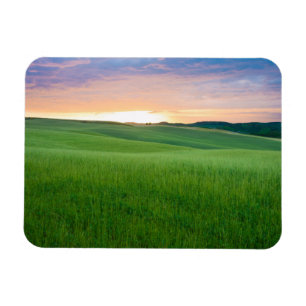 Sunset in Toscane, fotomagneet Magneet