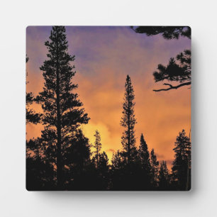 Sunset in Tuolumne Meadows, Yosemite, CA Fotoplaat