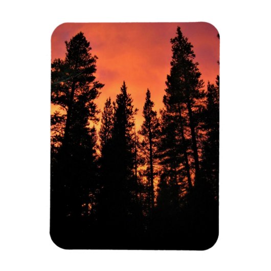 Sunset in Tuolumne Meadows, Yosemite, CA Magneet (Verticaal)