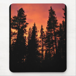Sunset in Tuolumne Meadows, Yosemite, CA Muismat