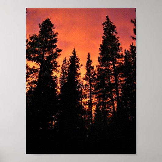 Sunset in Tuolumne Meadows, Yosemite, CA Poster (Voorkant)