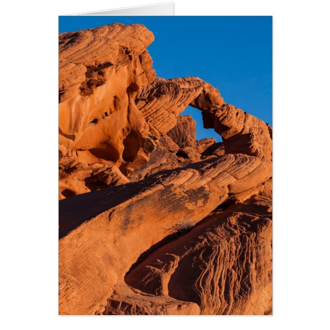 Sunset Inferno (Voorkant)