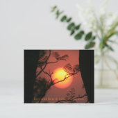 Sunset Inspirerend Quote Briefkaart (Staand voorkant)