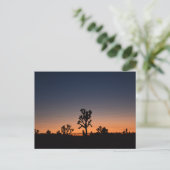 Sunset Joshua Trees Briefkaart (Staand voorkant)