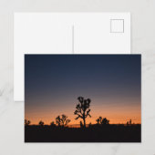 Sunset Joshua Trees Briefkaart (Voorkant / Achterkant)