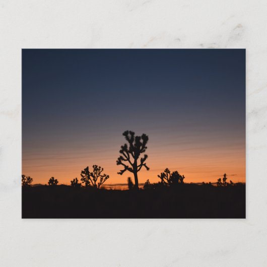 Sunset Joshua Trees Briefkaart (Voorkant)