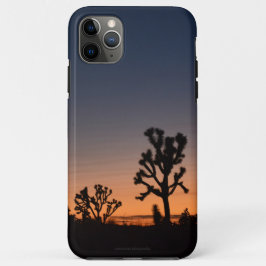 Sunset Joshua Trees Case-Mate iPhone Case
