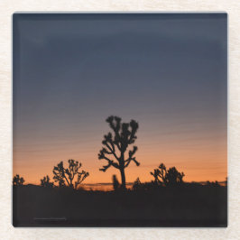 Sunset Joshua Trees Glazen Onderzetter