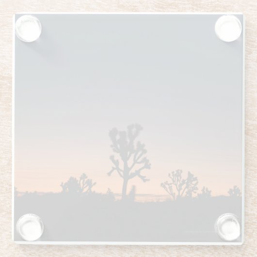 Sunset Joshua Trees Glazen Onderzetter (Achterkant)