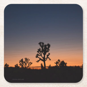 Sunset Joshua Trees Kartonnen Onderzetters