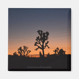 Sunset Joshua Trees Magneet
