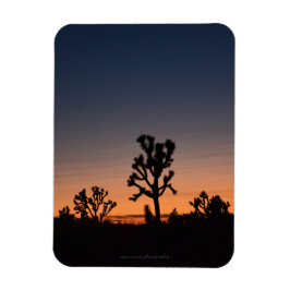Sunset Joshua Trees Magneet