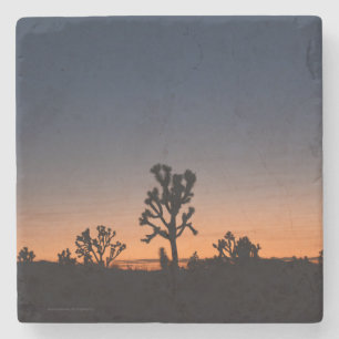 Sunset Joshua Trees Stenen Onderzetter