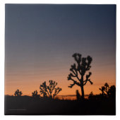 Sunset Joshua Trees Tegeltje (Voorkant)