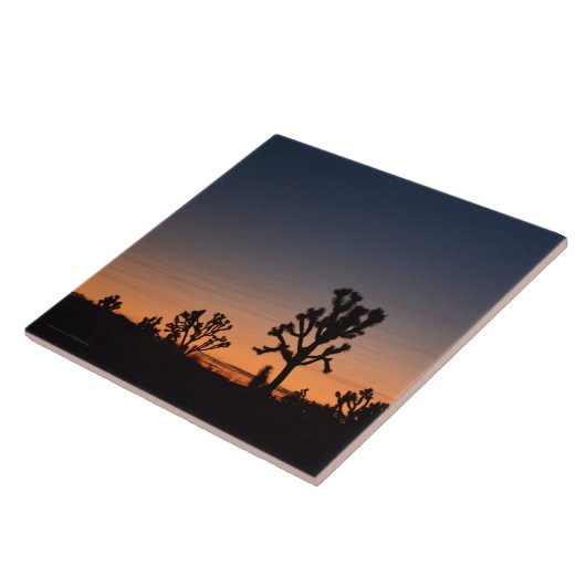 Sunset Joshua Trees Tegeltje (Zijkant)