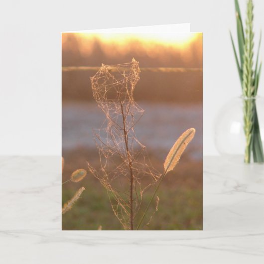 Sunset Kaart (Voorkant)