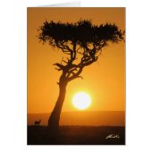 Sunset Kaart (Voorkant)