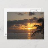 Sunset Key West, Florida Briefkaart (Voorkant / Achterkant)